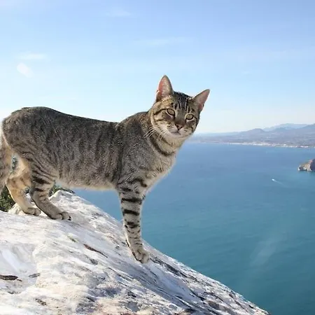 Alaska - Plusholidays Vila